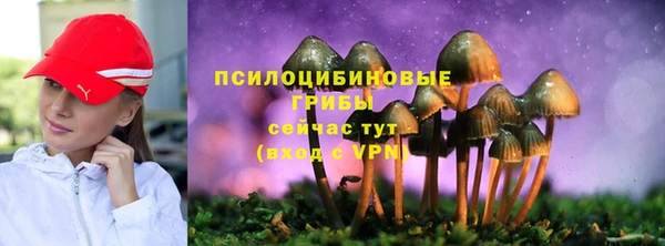 дмт Верхний Тагил